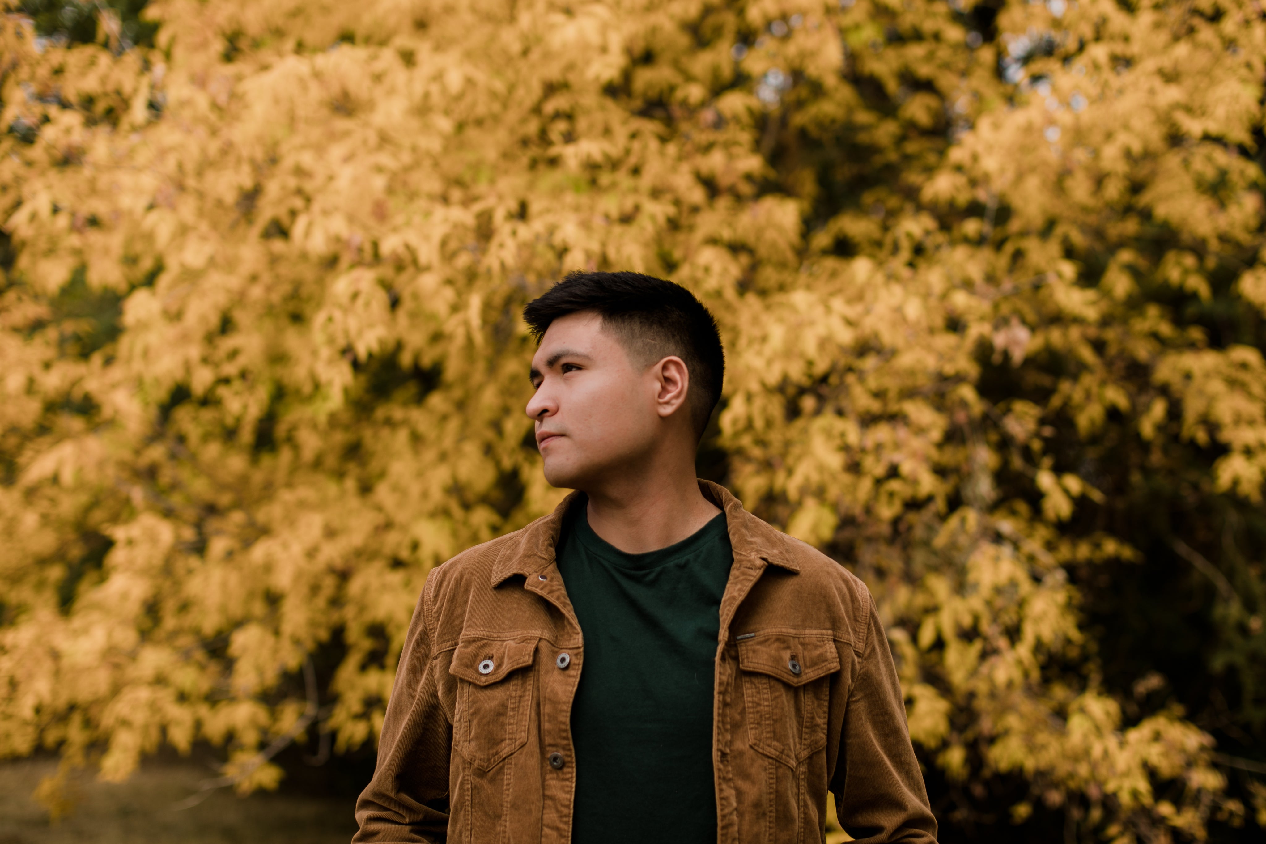 Profile picture